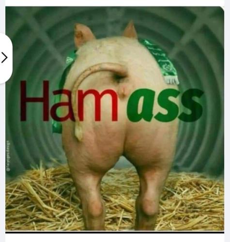 FB_IMG_1698762727049