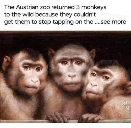 FB_IMG_1698173671263