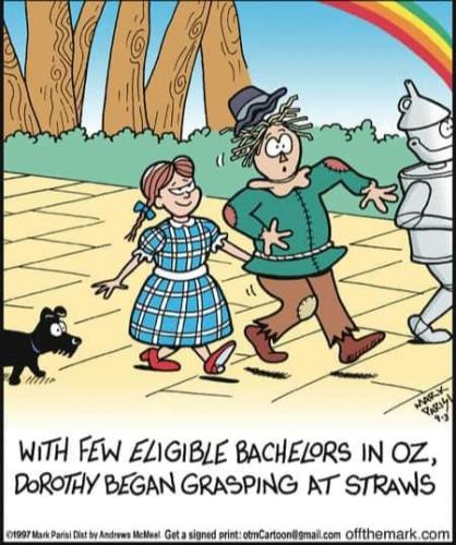 387053067_254184560942629_2001572361440584000_n