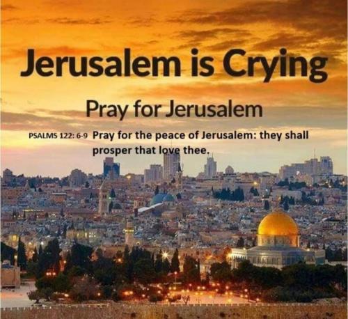 ec6096ff-9fc8-4782-8af2-b71fdc6cda0c