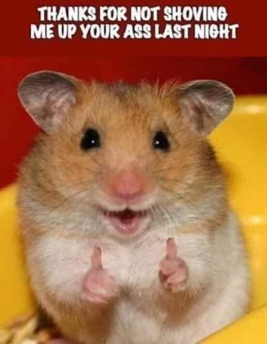 FB_IMG_1697305179897