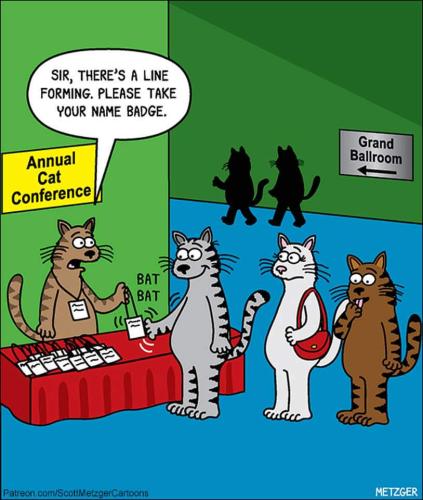 FB_IMG_1696409183169