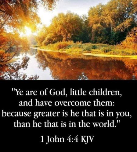 31d7b7d8-eca3-4a70-9f49-5e4399026706