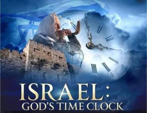 97a9277c-a878-48fa-93a6-7c004a87a741