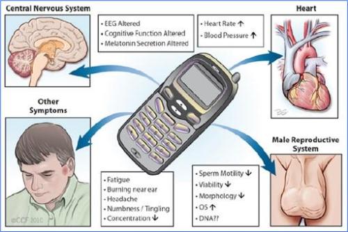 cell phone