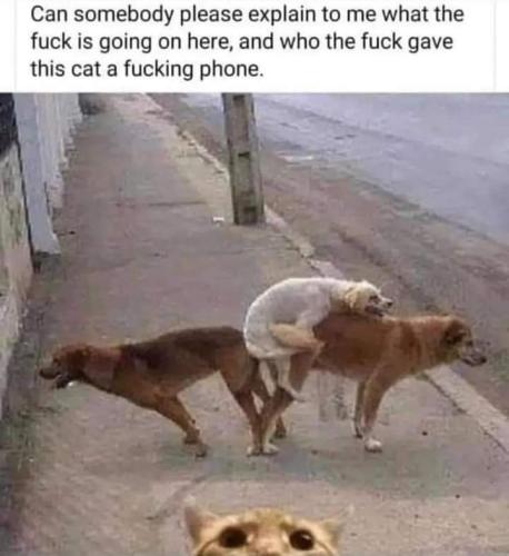 FB_IMG_1698423663455