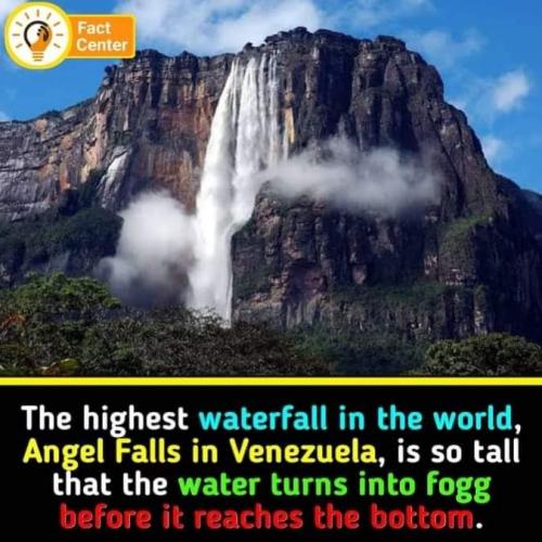 FB_IMG_1697405851978
