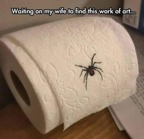 FB_IMG_1698789461623