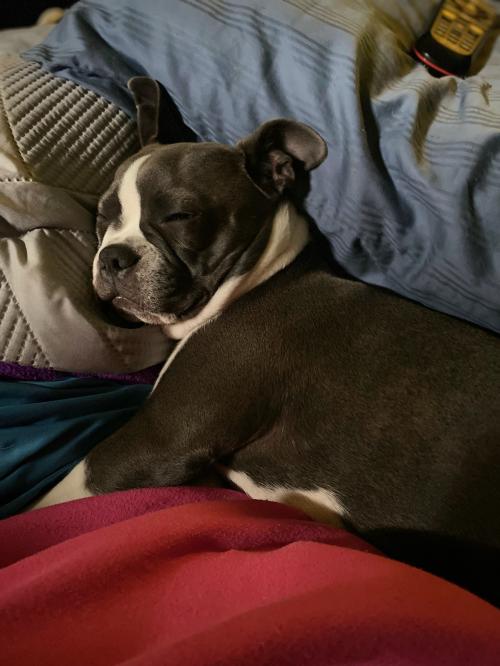 8C059EAE-B713-42EB-8E18-25B9BB3230AC