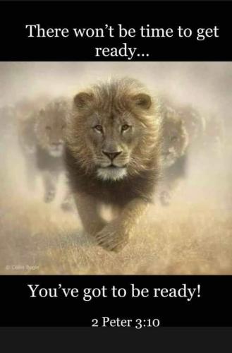 FB_IMG_1696865940447