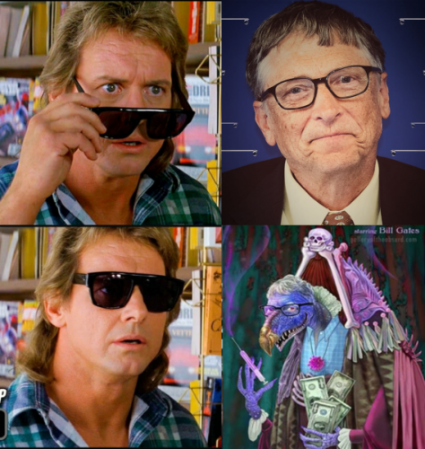Bill Gates reality