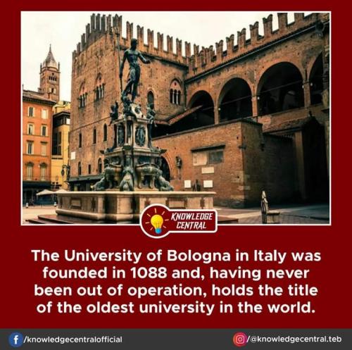 FB_IMG_1697407043862