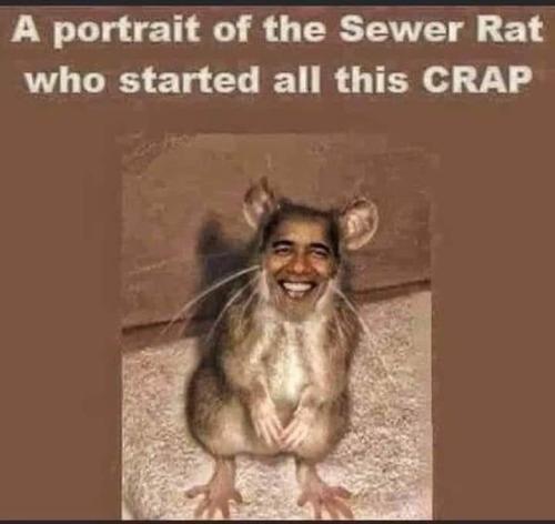 FB_IMG_1698684660716