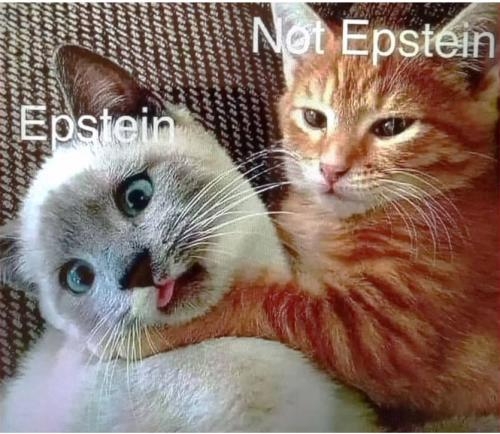 epstein