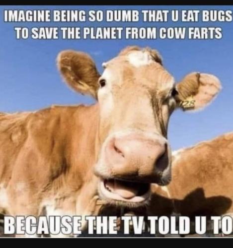 Screenshot_20231028_004848_YouTube