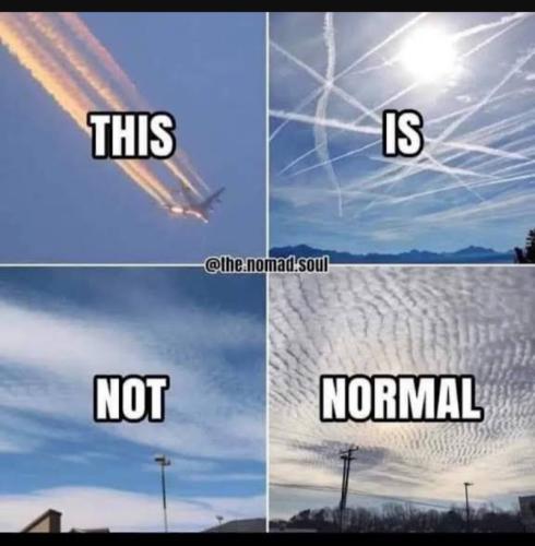 Screenshot_20231024_002128_YouTube