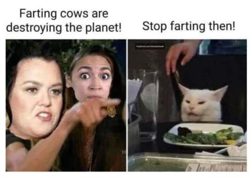 FB_IMG_1698641657785