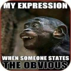 FB_IMG_1696619695545