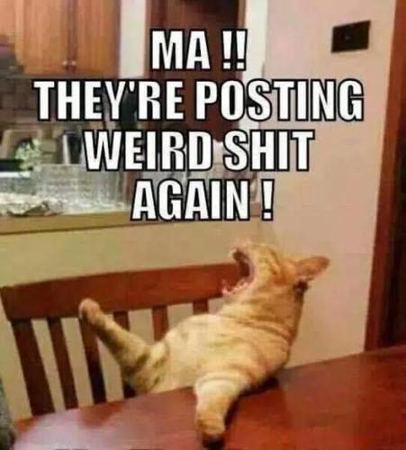 FB_IMG_1696785355900