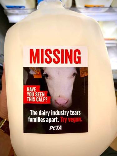 FB_IMG_1696185689990