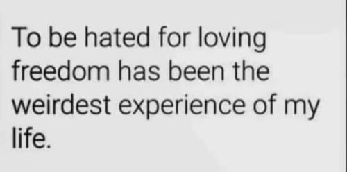 FB_IMG_1696786720199