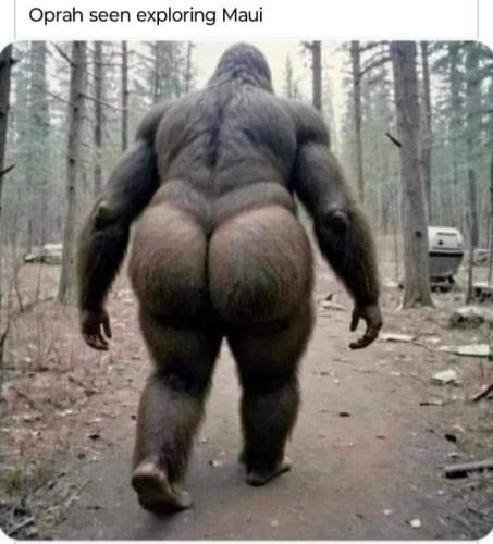 FB_IMG_1698204094992