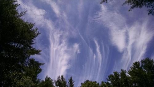 d2f6ad91-bdc1-41fa-94df-a908f0e0bac1