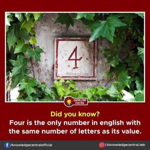 FB_IMG_1697573729158