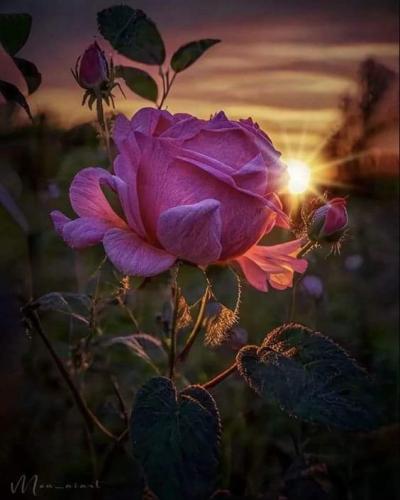 FB_IMG_1697190115036