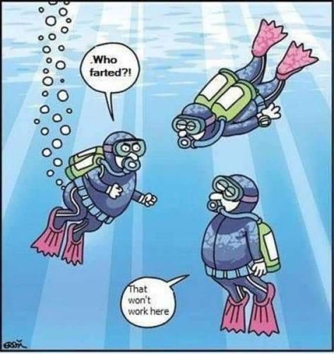 FB_IMG_1696340342838
