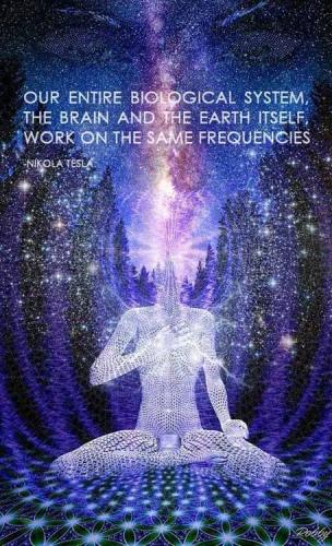 .              44353450_10156806