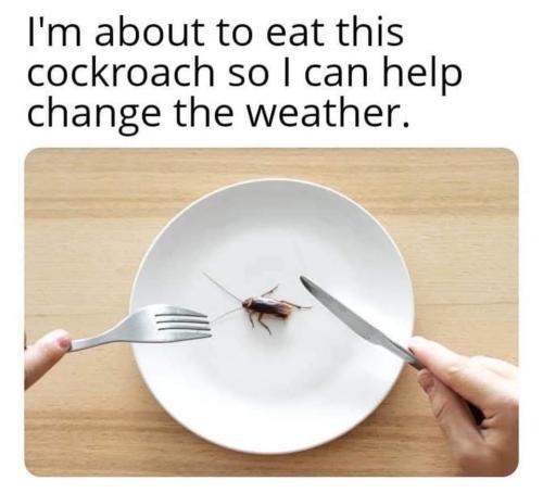 FB_IMG_1696785784652