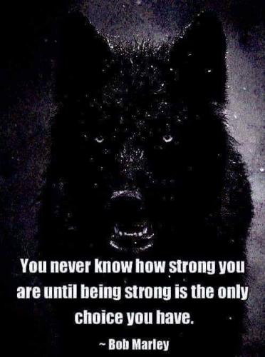 FB_IMG_1696861116615