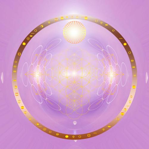 .      393583903_20605419876