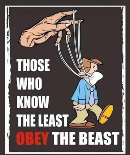 FB_IMG_1698390844217
