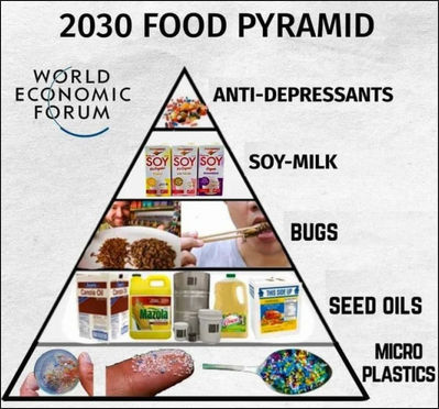 world economic forum56