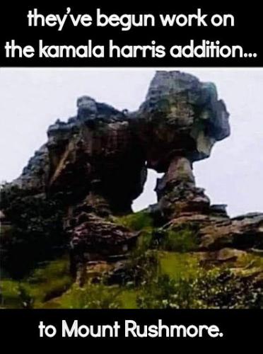 kamala harris250