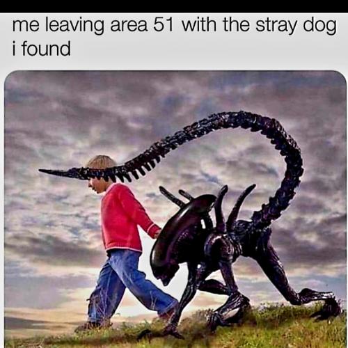 Screenshot_20231022_112639_Gallery