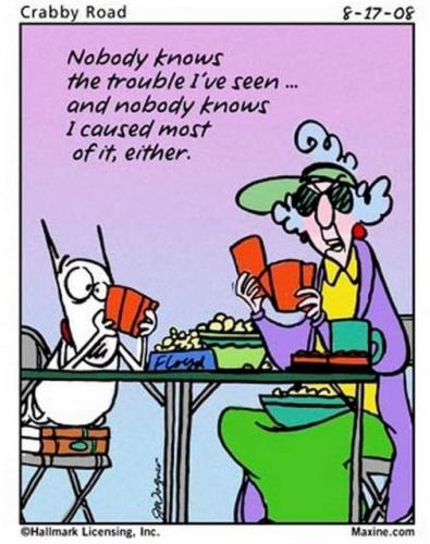 386661414_1223238862402930_1639268541953138511_n