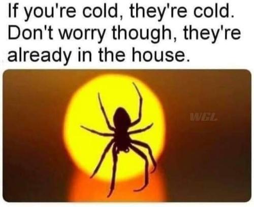 FB_IMG_1697732852009