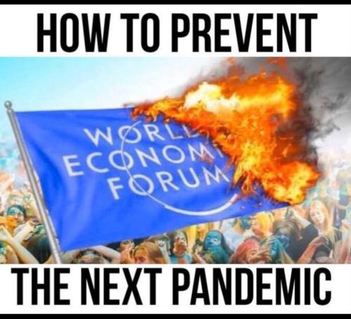 AD36F737-B128-49F4-9969-3D41582829DF