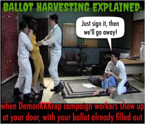 Ballot Harvesting 1