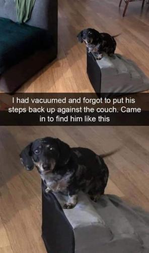 FB_IMG_1697081189793