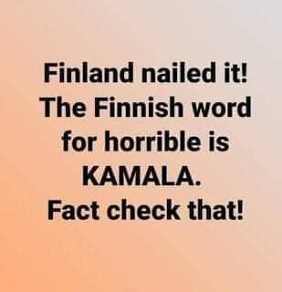 FB_IMG_1698260260311