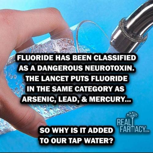 06a9ab23-9004-4c45-9ca6-7d7a47404925