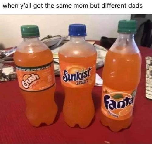 FB_IMG_1698381380816