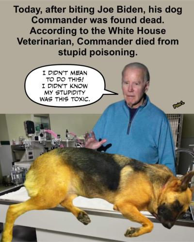 FB_IMG_1696603184002