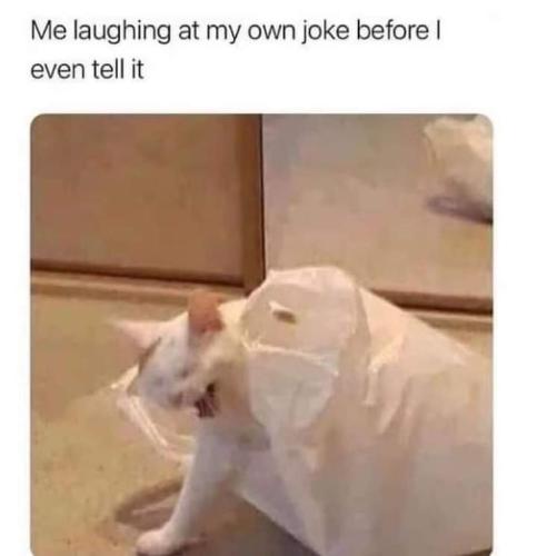 FB_IMG_1696344334271