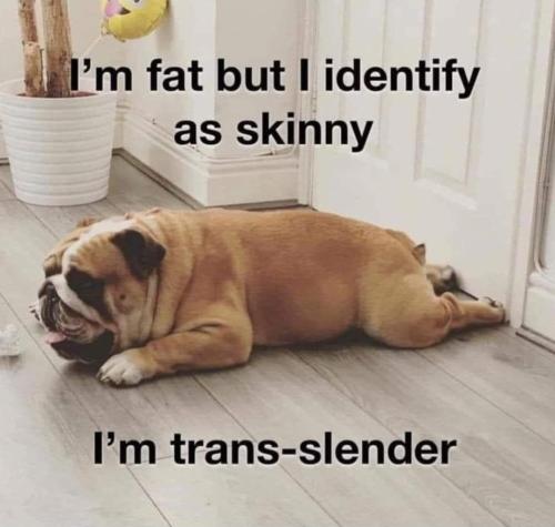 Screenshot_20231028_151636_Chrome