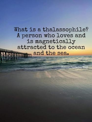 FB_IMG_1697463128081